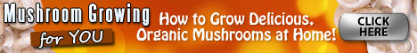 Mushroom Growing 4 You